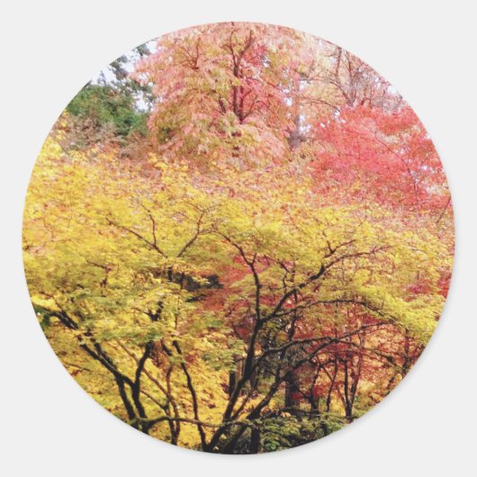 シアトルの紅葉 ラウンドシール (正面)