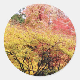 シアトルの紅葉 ラウンドシール