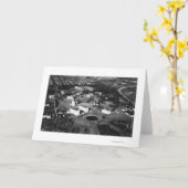 シアトルのWAのキャンパスのアンテナのWA大学 カード (黄色い花)