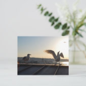 シアトルシーグルス ポストカード (スタンド正面)