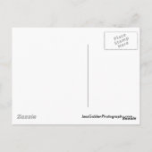 シアトルシーグルス ポストカード (裏面)