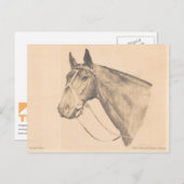 シアトルスルーバイスーザンペリセックコルベルグ ポストカード (正面/裏面)