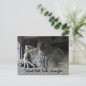 シアトルフリーモントトロル#1ポストカード ポストカード (スタンド正面)