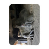 シアトルフリーモントトロル#1マグネット マグネット (縦)