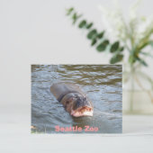 シアトル動物園 ポストカード (スタンド正面)