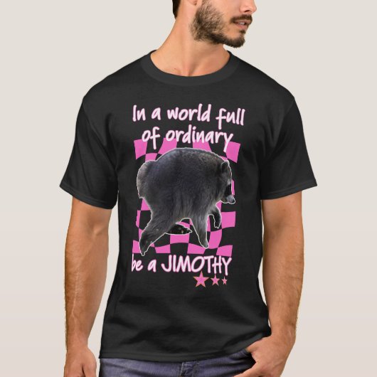 シアトル・アライグマ・ジモシー Tシャツ (正面)