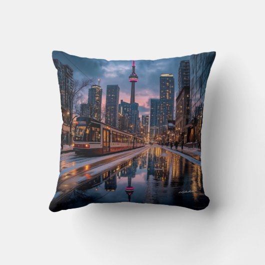 シアトル クッション (裏面)