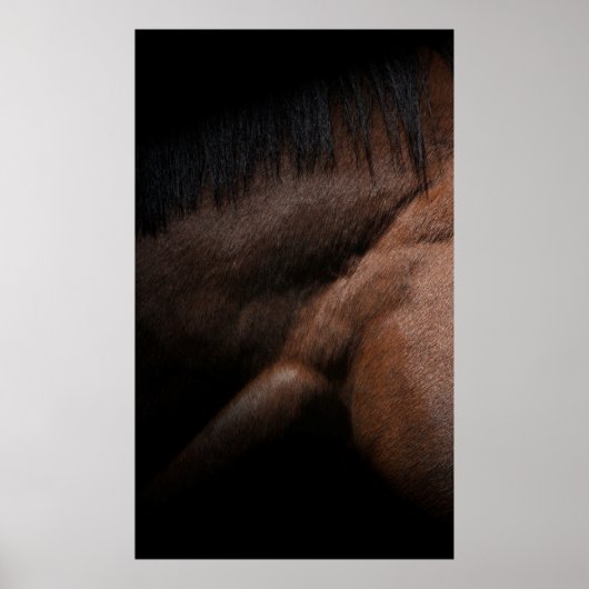 シアトル ポスター (正面)