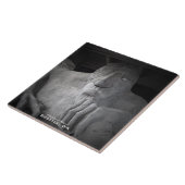 シアトルFremontのトロールの写真のタイル タイル (側面)