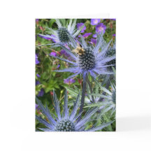 シアトルWAシリーズChihly Garden and Glass