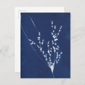 シアノタイププリントグラスブルーホワイトアートポストカード インビテーションポストカード (正面/裏面)