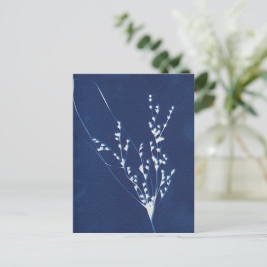 シアノタイププリントグラスブルーホワイトアートポストカード インビテーションポストカード (スタンド正面)