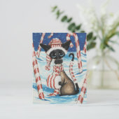 シアメスキャンディーケーン子猫 ポストカード (スタンド正面)