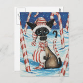 シアメスキャンディーケーン子猫 ポストカード (正面/裏面)