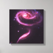 シアルピンクローズ銀河系 キャンバスプリント (正面)