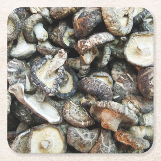 シイタケ スクエアペーパーコースター (正面)