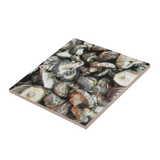 シイタケ タイル (側面)