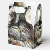 シイタケ フェイバーボックス (オープン)