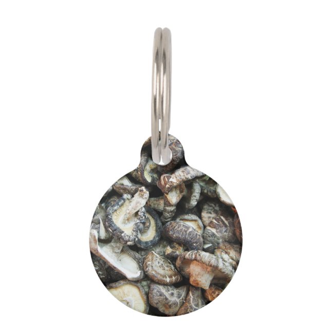 シイタケ ペット　ネームタグ (正面)