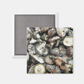 シイタケ マグネット (正面/裏面)