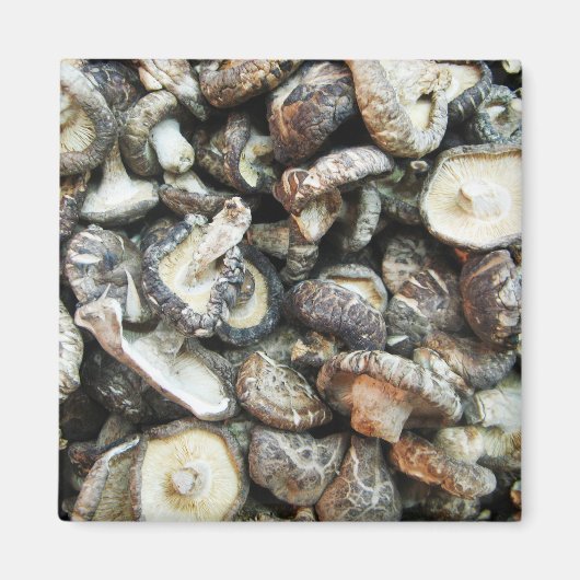 シイタケ マグネット (正面)