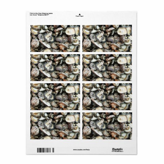 シイタケ ラベル (フルシート)