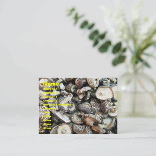 シイタケ 名刺 (スタンド正面)