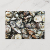 シイタケ 名刺 (裏面)