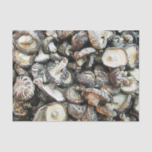 シイタケ 薄葉紙 (正面)