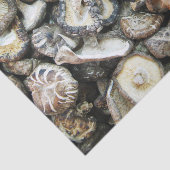 シイタケ 薄葉紙 (詳細)