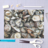 シイタケ 薄葉紙 (クラフト)