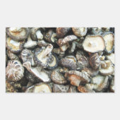 シイタケ 長方形シール (正面)