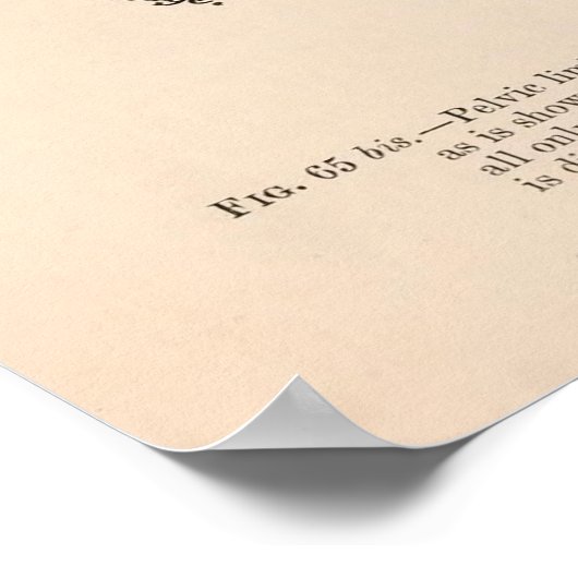 シイタミ ポスター (角)