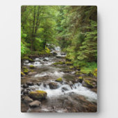 シウスロー国有林 | Sweet Creek フォトプラーク (正面)