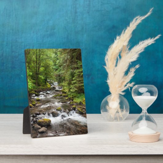 シウスロー国有林 | Sweet Creek フォトプラーク (側面)