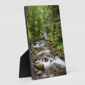 シウスロー国有林 | Sweet Creek フォトプラーク (側面)