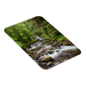 シウスロー国有林 | Sweet Creek マグネット (右側)