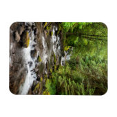 シウスロー国有林 | Sweet Creek マグネット (横)