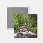 シウスロー国有林 | Sweet Creek マグネット (正面/裏面)