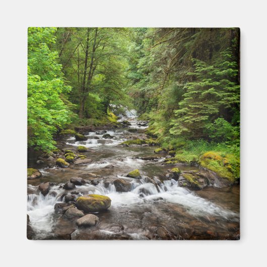 シウスロー国有林 | Sweet Creek マグネット (正面)