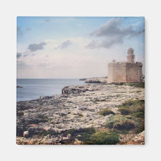 シウタデラ磁石 マグネット (正面)