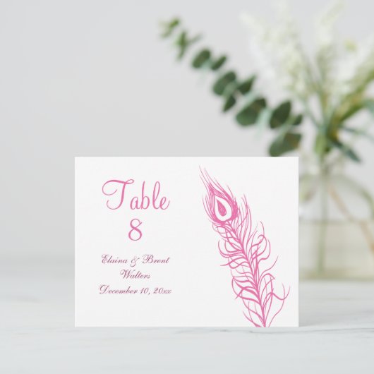 シェイク・ユア・テール・フェザーズ テーブル番号(フクシア) ポストカード (スタンド正面)