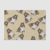 シェットランドコリリーカニネコンパニオン 薄葉紙 (正面)