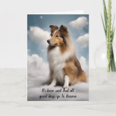 シェットランドシェプドッグ天国同情カードの紛失 シーズンカード (正面)