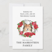 シェットランドシェプドッグ水の色ポインセチアのクリスマス シーズンカード (正面)