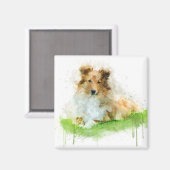 シェットランドシェプドッグ/シェットランド・ シープドッグ マグネット (正面/裏面)