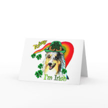 シェットランドシェプドッグSt patricks
