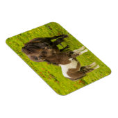 シェットランドポニーの母と子孫 マグネット (右側)