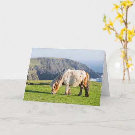 シェットランドポニーの牧草地の高い崖の近く カード (黄色い花)