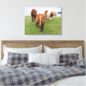 シェットランドポニーの牧草地の高い崖の近く キャンバスプリント (インサイチュ (寝室))